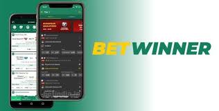 Explore the Thrills of Online Betting with बेट विनर
