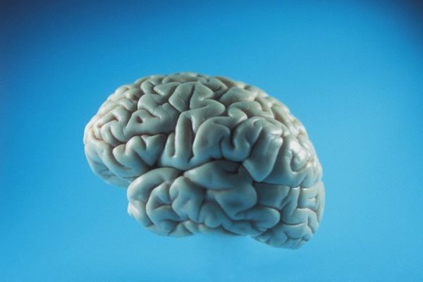 ‘Sidik Jari’ di Otak Bisa Mendeteksi Tanda Peringatan Dini Penyakit Alzheimer, Kata Para Ilmuwan