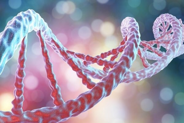 Bioprinting volumetrik dikombinasikan dengan elektrowriting leleh untuk membuat pembuluh darah fungsional