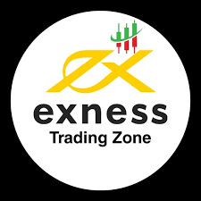 Understanding the Exness Web Platform for Traders