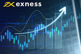 Understanding the Exness Web Platform for Traders